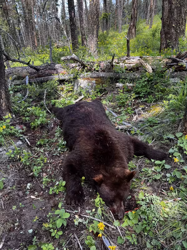 9A15B2C9-0EDE-4AB7-92E6-380E95AD3E7E