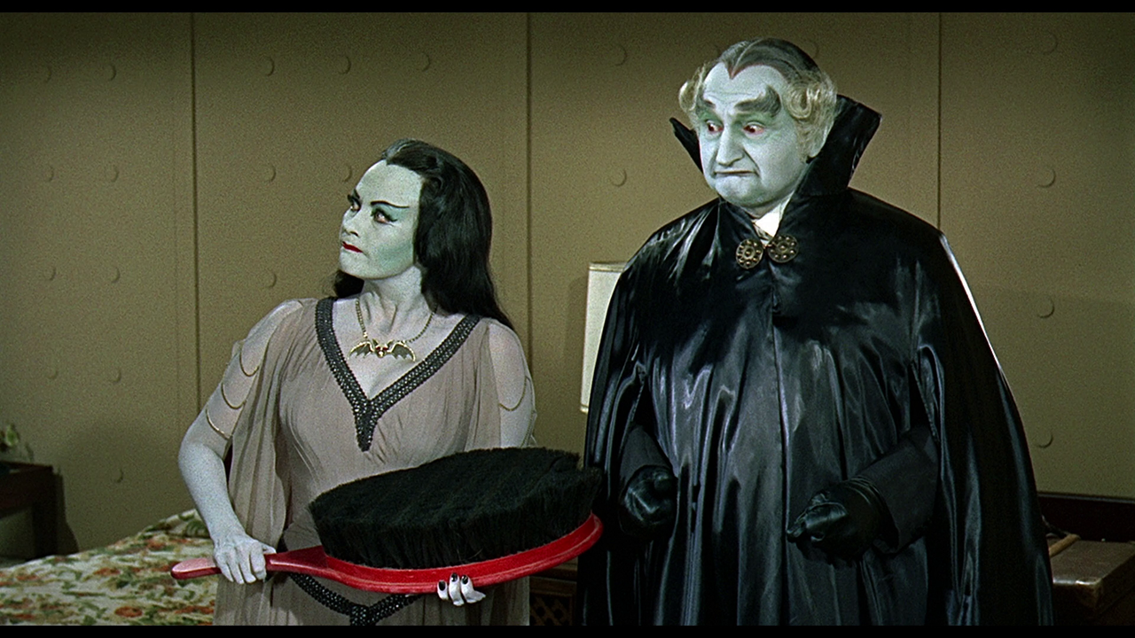 vlcsnap-2023-05-11-18h06m44s240