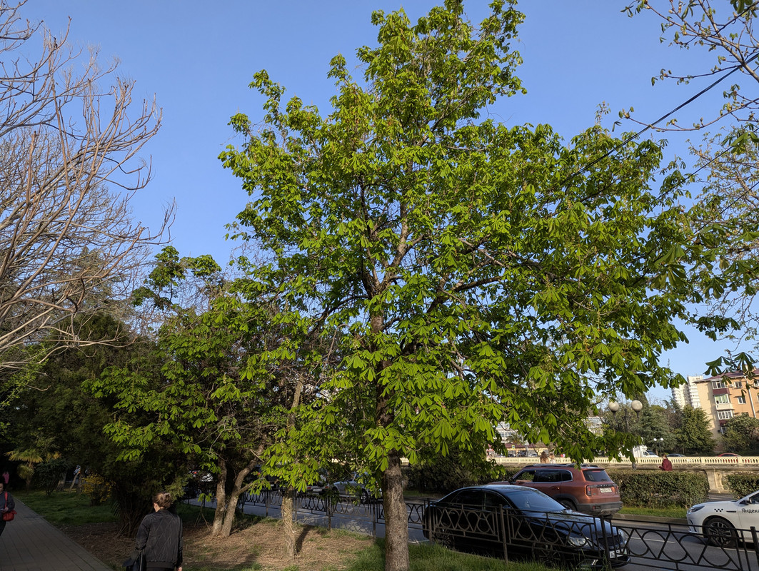 PXL_20250401_142247003