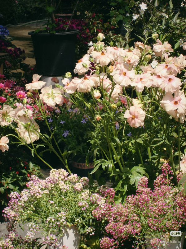 photo 17 2025 12 14 22 34 27