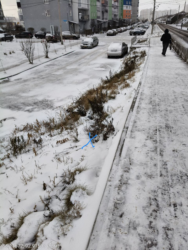 photo 3 2025 11 14 13 44 21