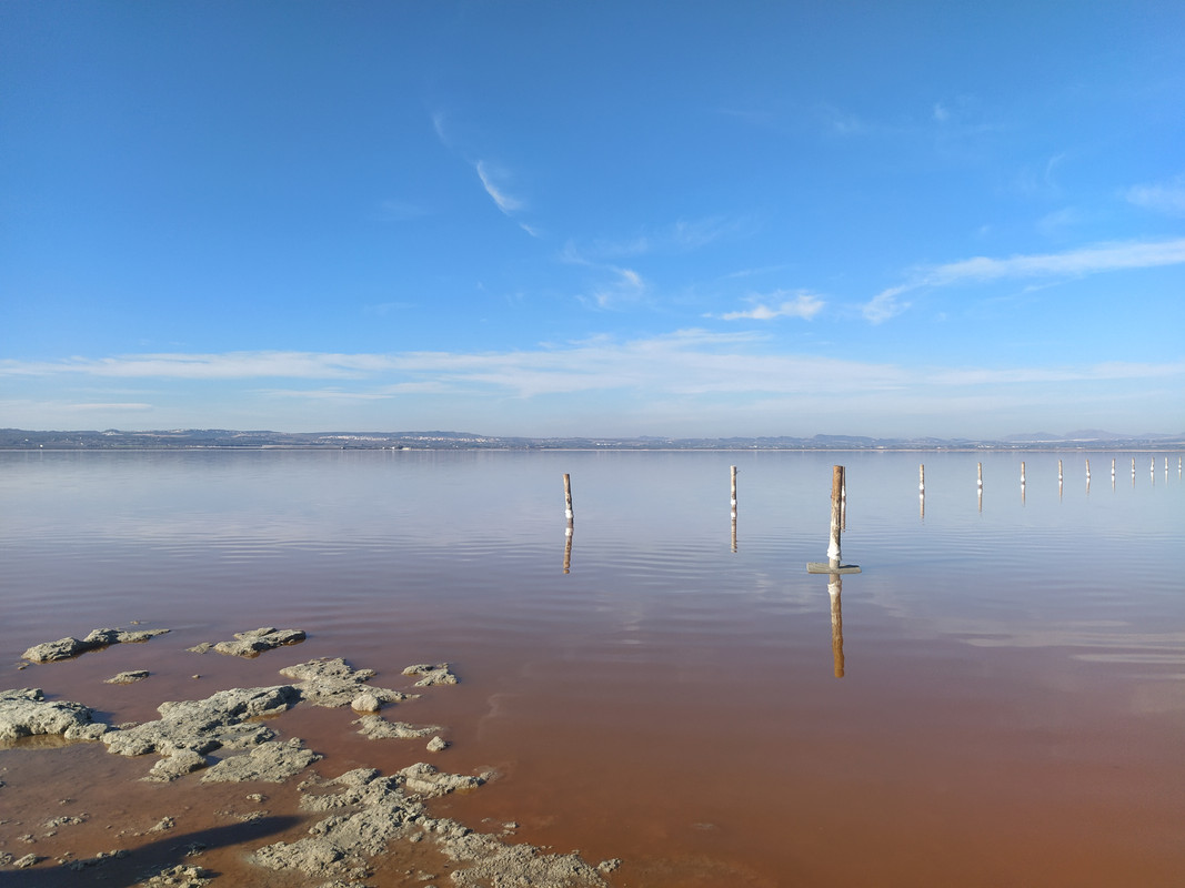 PN Lagunas La Mata y Salinas Torrevieja -Vega Baja, Alicante - Foro Comunidad Valenciana