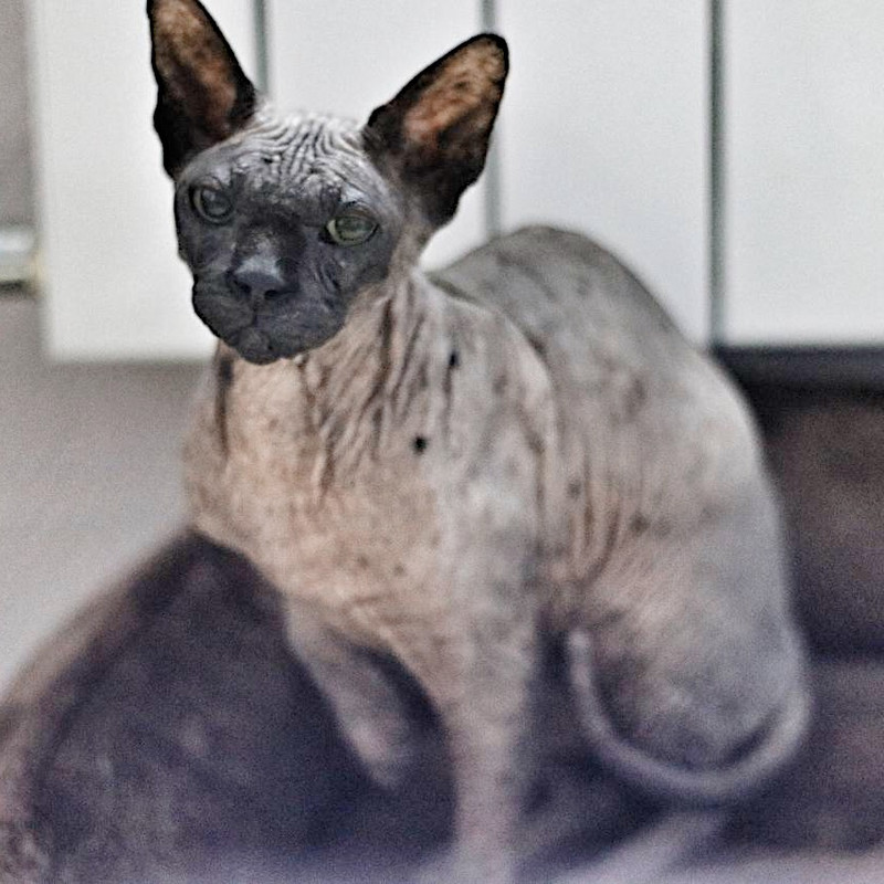 C4913723-F094-4181-BF31-312FD375EBC8