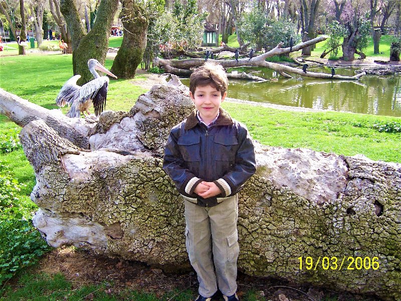 ZOO DE MADRID-1992/2001/2006/2007-MADRID - Paseando por España-1991/2016 (14)