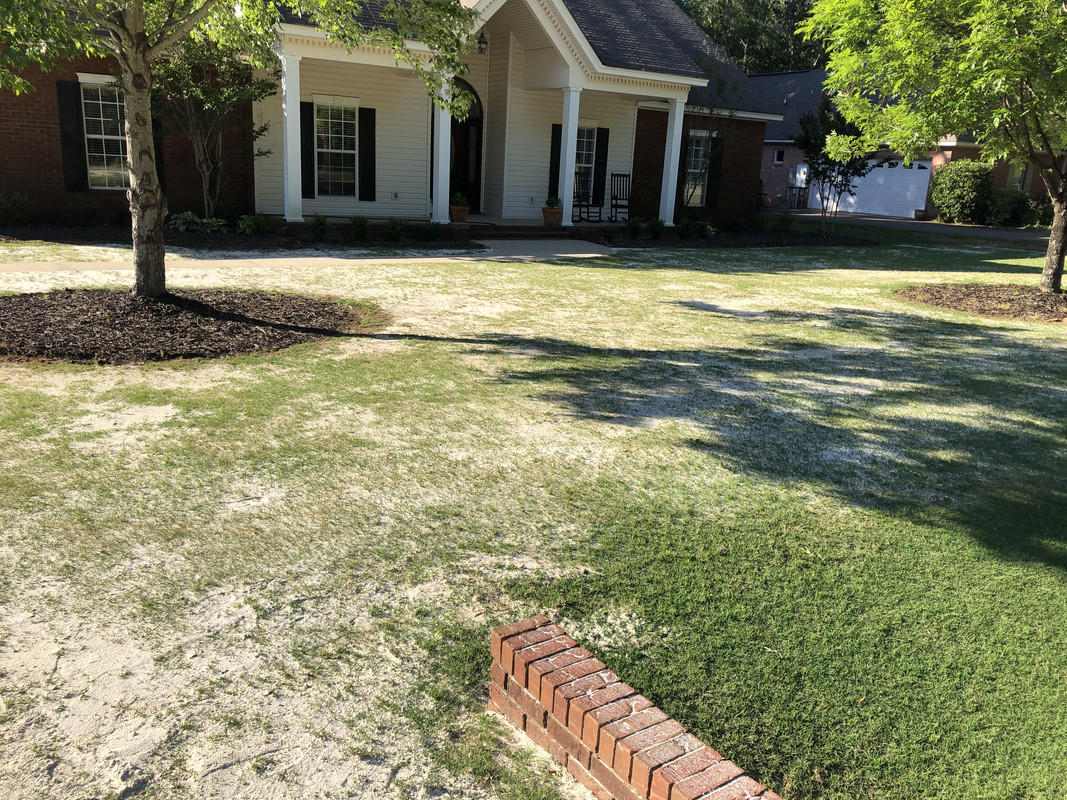 C7055DEC-7C3A-445E-952D-A4DCB1382CF1