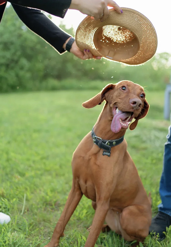 877F268B-5BE4-40B9-B15C-94E23E5F1F39