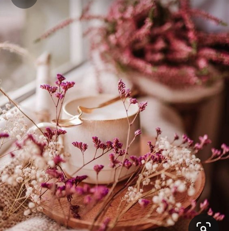 Screenshot_20230717_231208_Pinterest