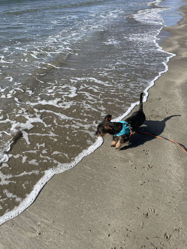 [Image: IMG-3735.jpg]