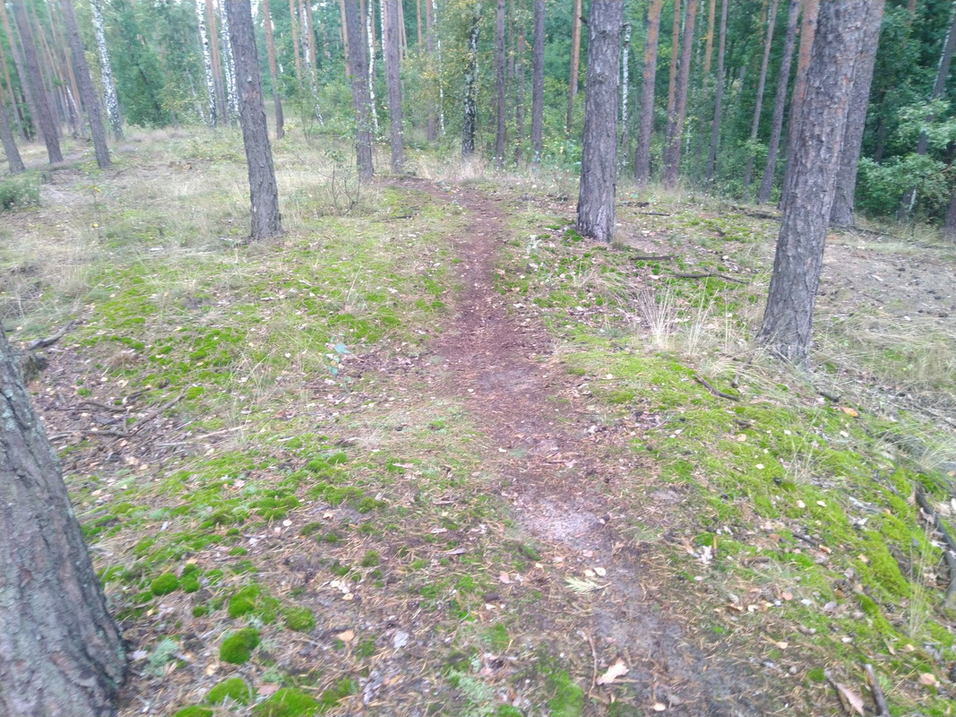 IMG-20210917-123513.jpg
