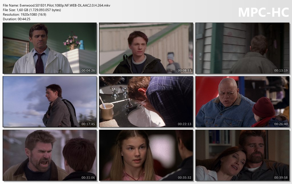 Everwood-S01E01-Pilot-1080p-NF-WEB-DL-AAC2-0-H-264-mkv-thumbs.jpg