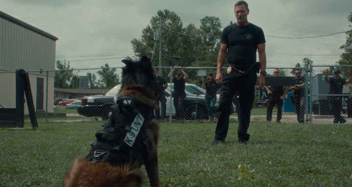 vlcsnap-2024-01-12-21h03m43s457