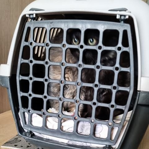 IMG 2eb1b648c1f8558196a40cf305c594e6 V 2