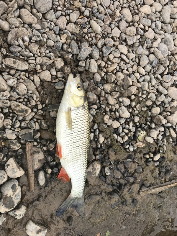 7537FFCC-A578-40B3-BBD9-A52B9CF10064