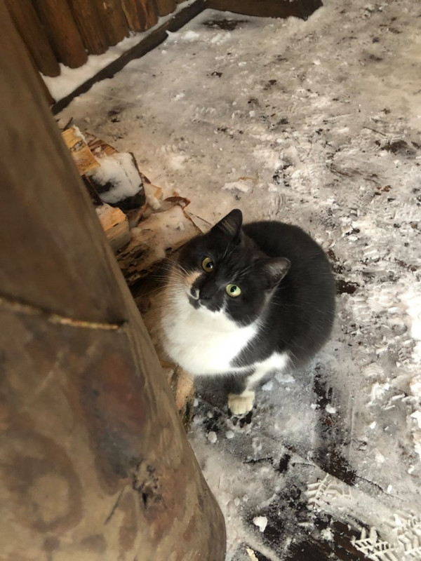 A27CA7C1-EA84-4A0E-80B4-E0D3A93A5154