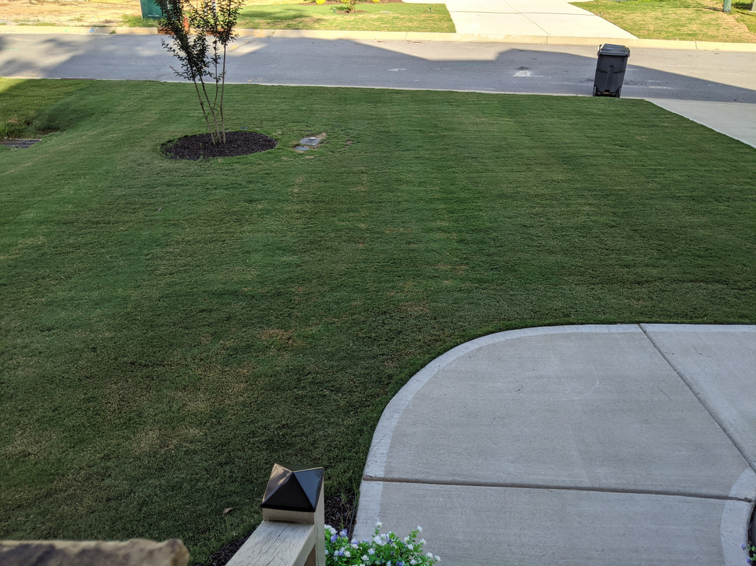 PXL_20200804_221648559.MP