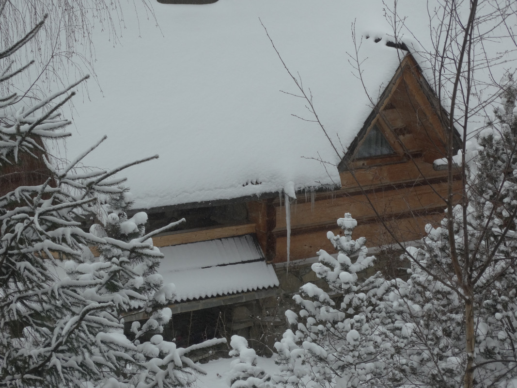 02.02 - DSC06150 (Czesio1)