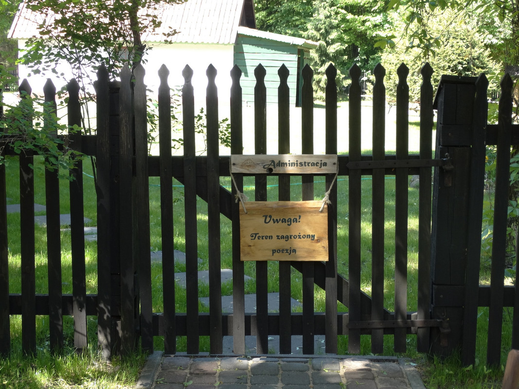 13 - DSC03878 (Czesio1)