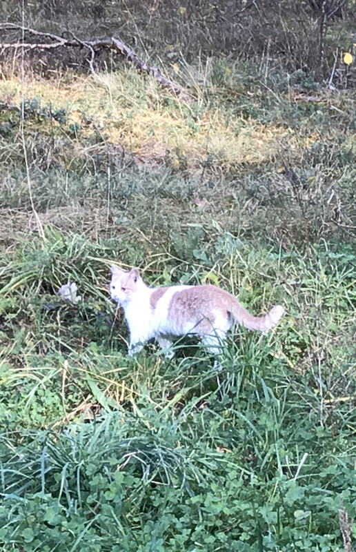 38FF33C9-7587-4FB6-BBA7-312CA00D744D