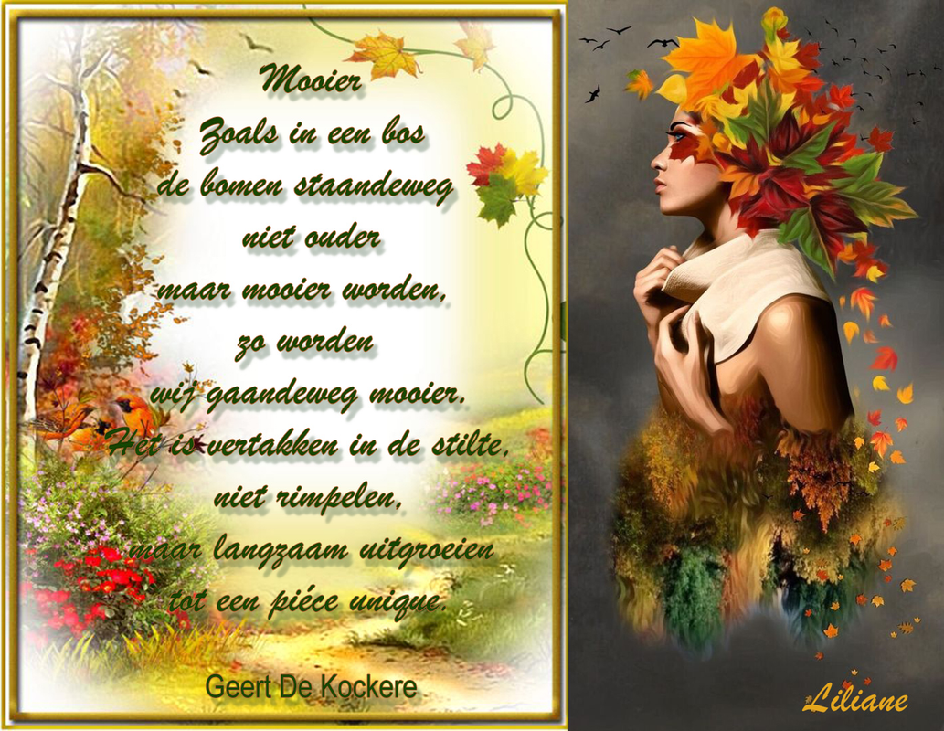 c7ddb562de2a302673500db4b5b972dd