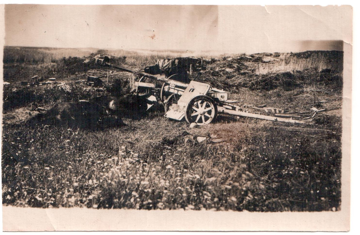 Подбитая немецкая пушка на Орловско-Курской дуге, 1943г.