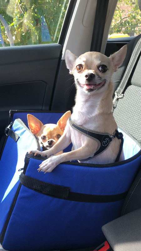 30DBC663-701B-44D9-8D25-11AA6D0B2C26