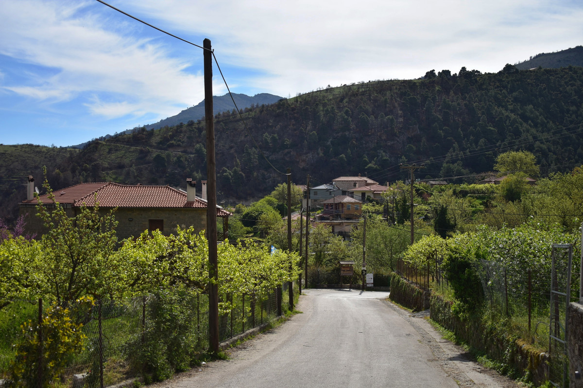 Ευρωστίνη (2)