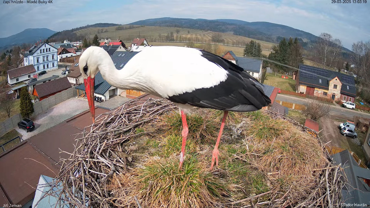 Tiešraides kamera — Mladé Buky — stārķa ligzda 4K 12-26-45 screenshot