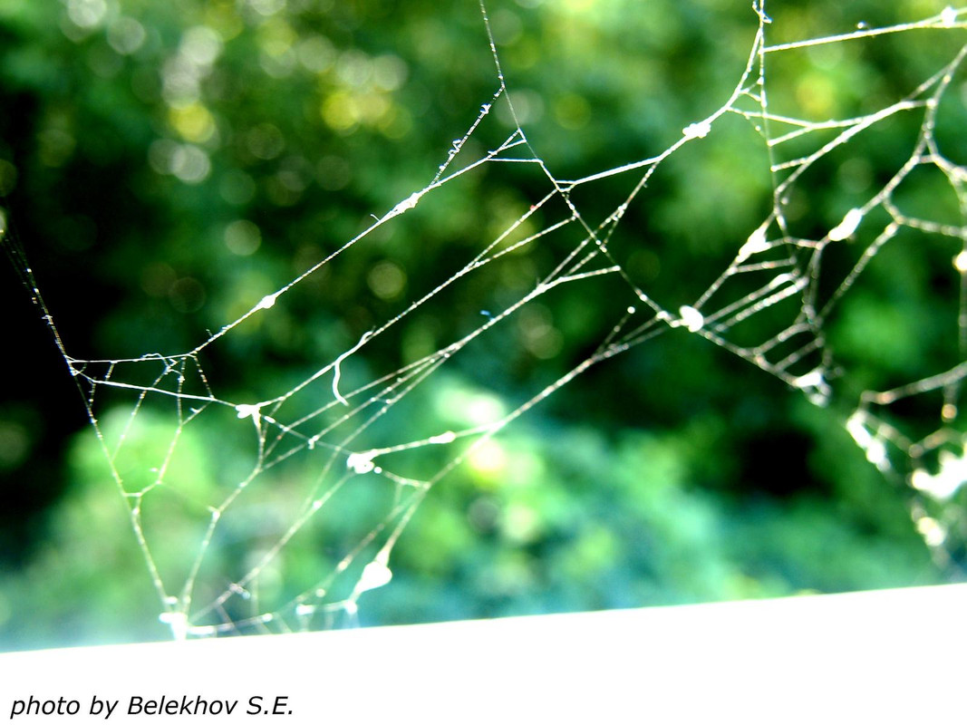 Дивногорье Дивногорье