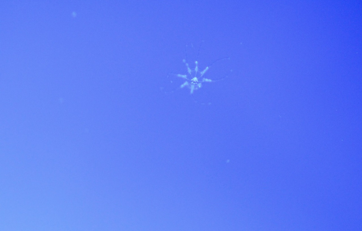 1D7CD679-ACAE-4DF3-AE21-6F54FA53A8F9