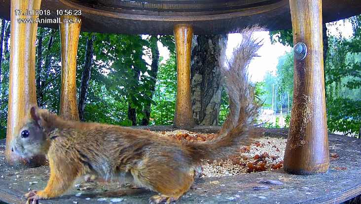 Képernyőkép – 2018-07-17 10-56-58