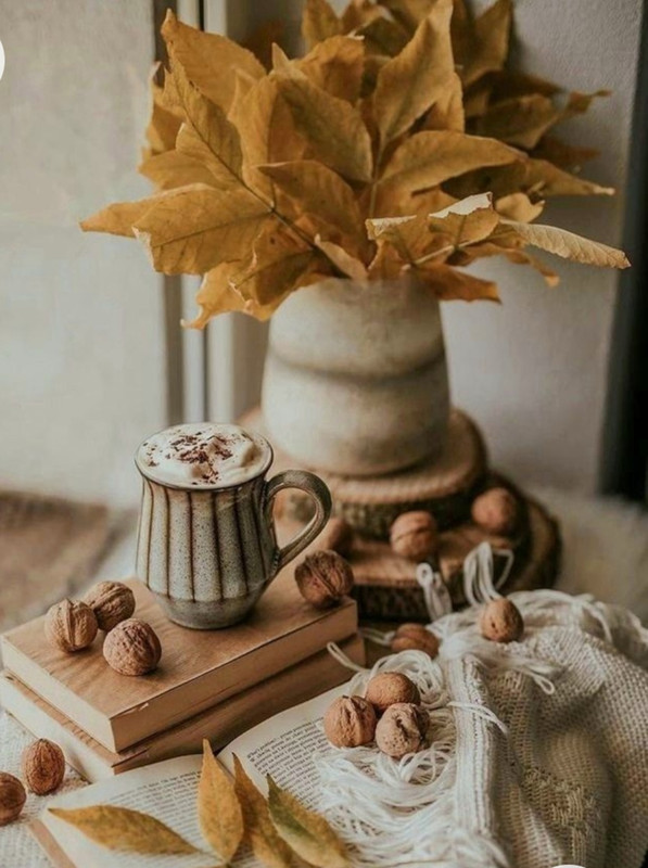 Screenshot_20221227_013117_Chrome