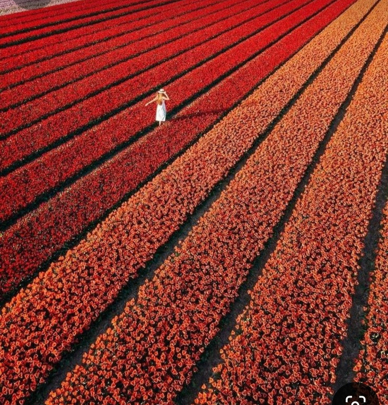 Screenshot_20240609_210413_Pinterest