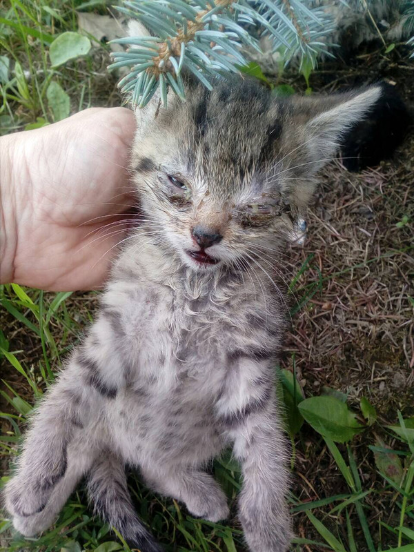 C3BB9C5A-E61B-4BA9-85A7-BBCA1307941E