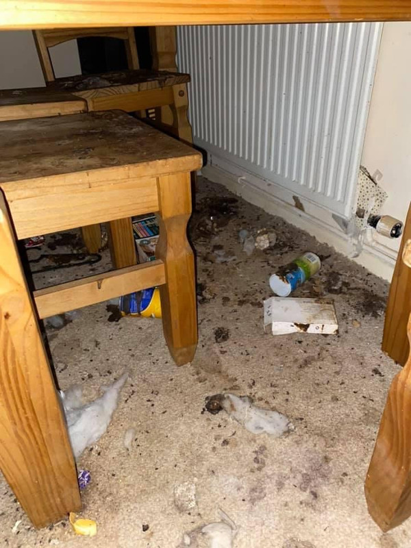 6F1ED7CD-E5D7-43EA-892D-6D428B22E4A7