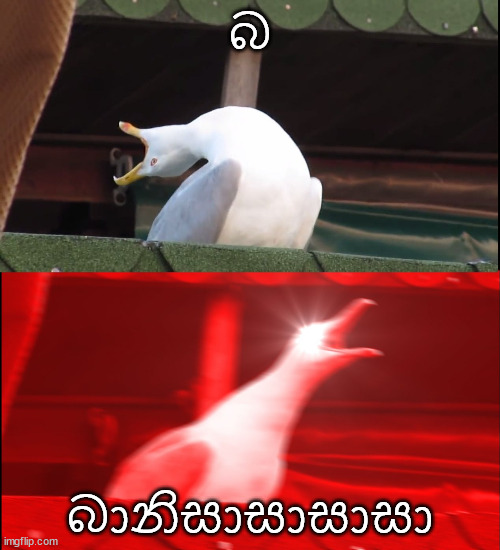 8h8m0k.jpg
