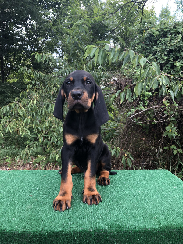 3C8EC0D6-AEBB-437D-A415-D26DFF8A822A