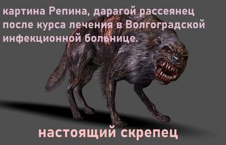 1655863978-16-gas-kvas-com-p-sobaka-mutant-foto-17