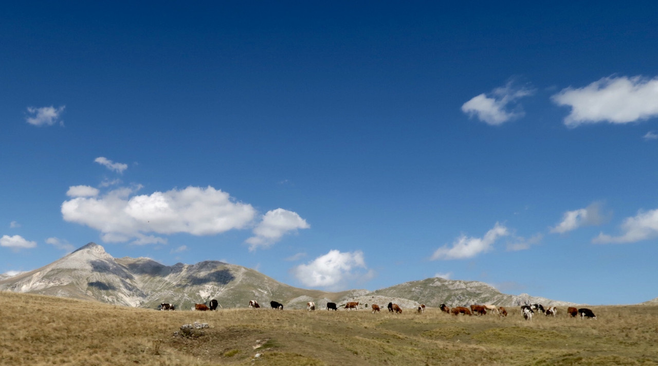 6FFBAAE5-C050-401E-9A7A-B97E2F903681