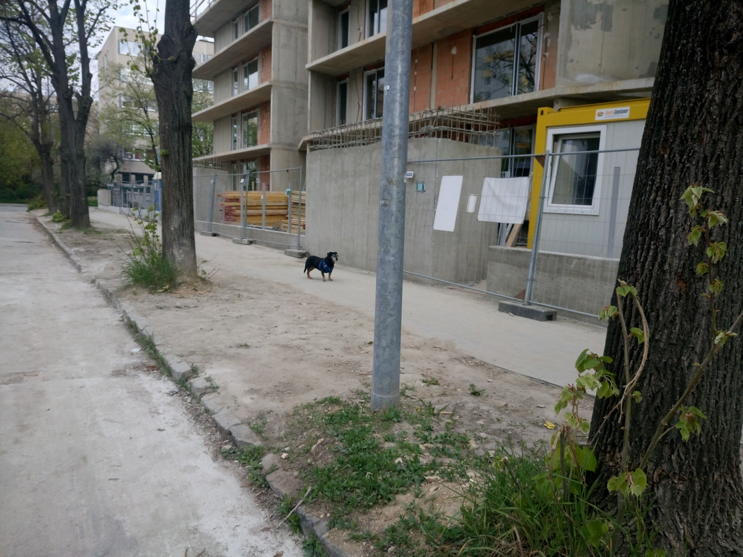 Kép