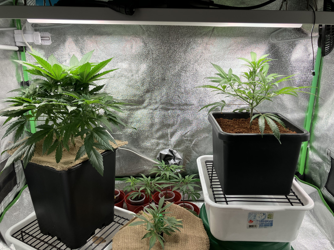 5668B1A2-FEC8-41AE-B159-D0CBC4AB6A04