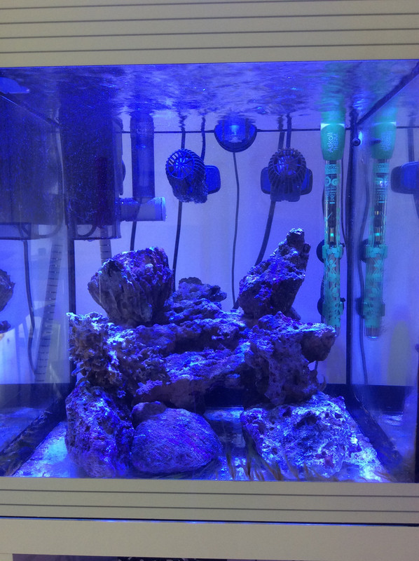 B1571CC5-7E9E-4680-86AB-AAB6B80E4E76