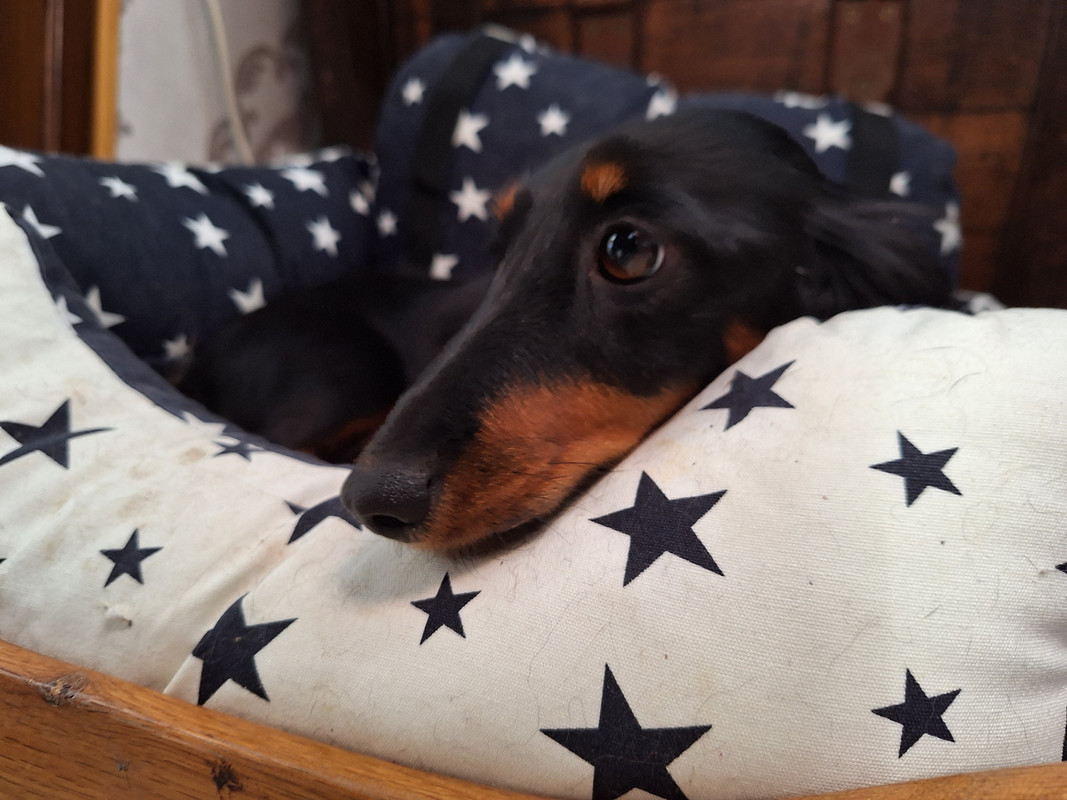 [Image: 20231016-154634.jpg]