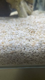 E7256313-0151-44FF-96DA-D5A1BEE0E820