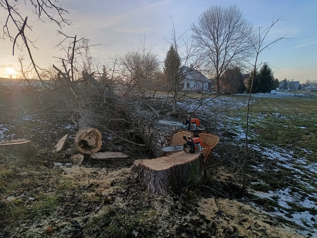 IMG_20241125_145912188_HDR