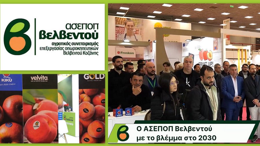 κοζάνη, ειδήσεις, νέα, Πτολεμαΐδα 
