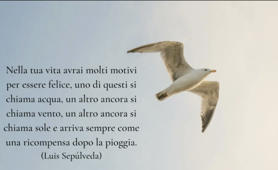 7DD5175A-4CB7-4D73-A62E-56DE010F0C7D