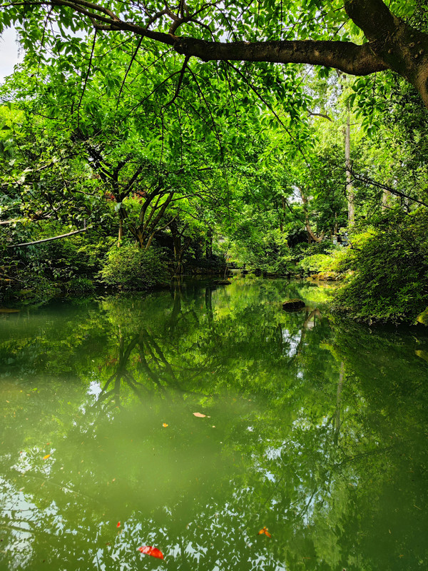 IMG_20230523_152220_副本