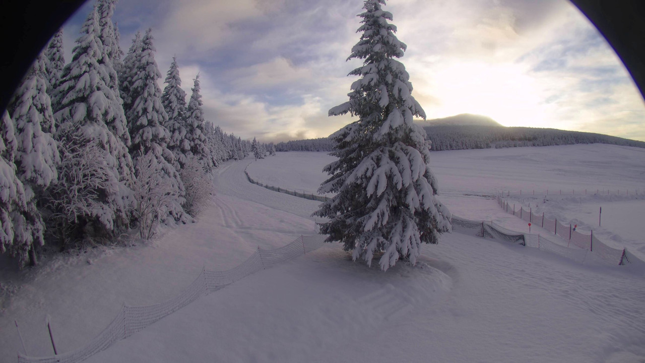 les-estables-ski-nordique-2025-03-11-07-