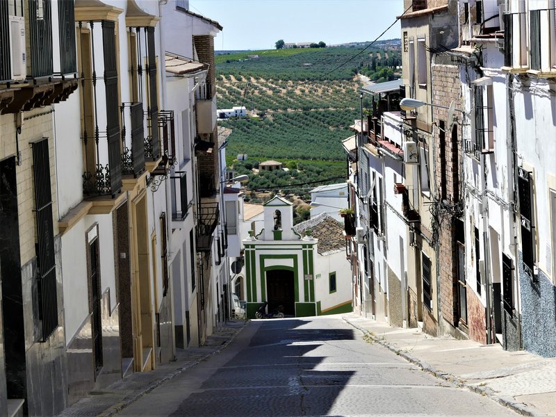 MONTILLA-3-7-2020 - Córdoba y sus pueblos-2017/2020 (55)