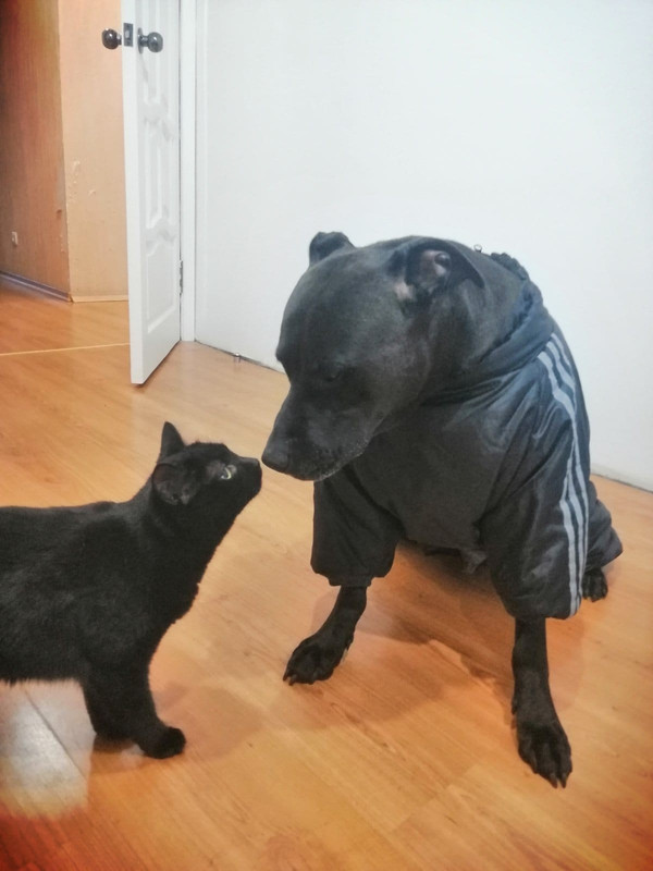 FCFEDF46-FF96-409F-92A9-6751602B22D9